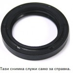 семеринг главина